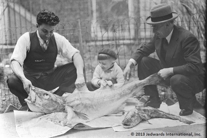 Cod Liver Oil Processing in South Boston, Massachusetts (1940)