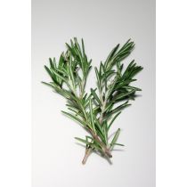 Rosemary Essential Oil - USDA Organic